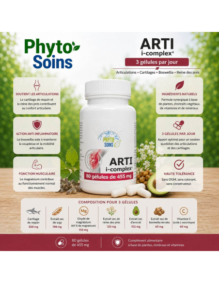 Arti i-complex- Souplesse & confort articulaire - 80 gélules - Phyto-soins