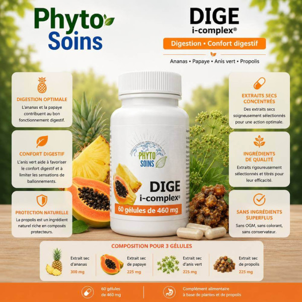 Gélules Dige i-complex- Confort digestif - 60 gélules - Phyto-soins