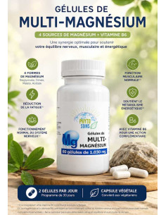 Gélules Multi-Magnésium: Bisglycinate, citrate, malate et acétate par phyto-soins