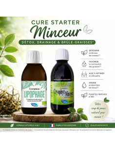 Cure starter minceur: cryophyt minceur + lipophage