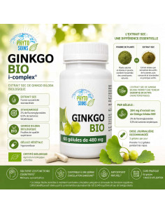 Ginkgo biloba BIO – L'extrait sec standardisé de Ginkgo biloba