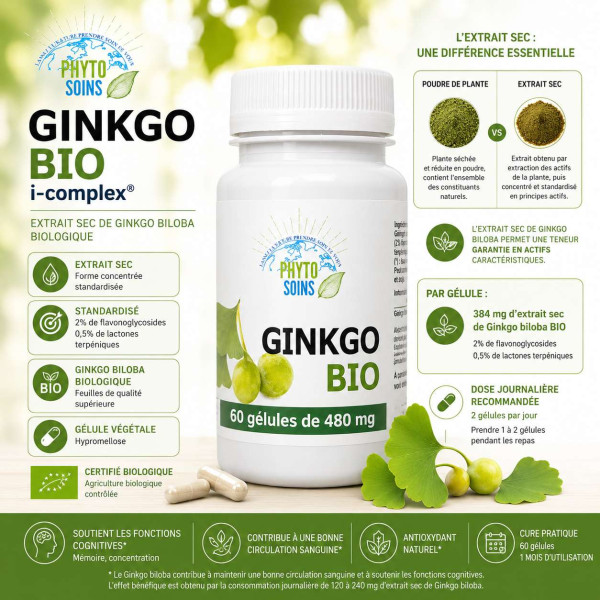 Ginkgo biloba BIO – L'extrait sec standardisé de Ginkgo biloba