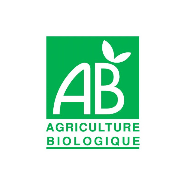 Tisane Jambes légères