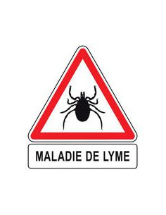 maladie de Lyme 1ère période