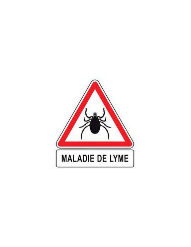maladie de Lyme 3ème période