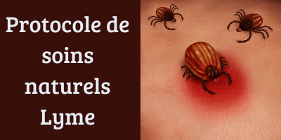 Protocole de soins naturels de la maladie de Lyme