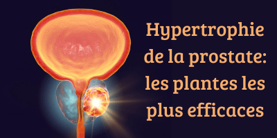 Hypertrophie b&eacute;nigne de la prostate: les plantes les plus efficaces.