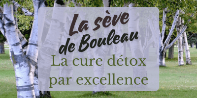 La sève de Bouleau détoxifiante par excellence