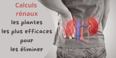 Calculs r&eacute;naux: soulager et &eacute;vacuer avec les plantes