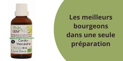 Les bourgeons de la prévention cardio-vasculaire