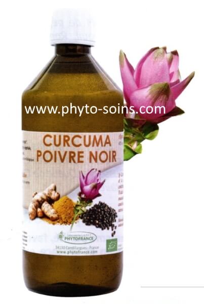 Le Curcuma, le Gingembre et le poivre Noir agissent ensemble contre les cancers