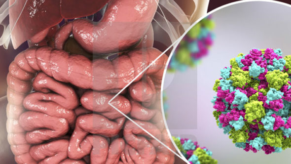 Prévenir naturellement la gastro entérite