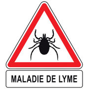Maladie de Lyme: Traitement Naturel - phyto-soins