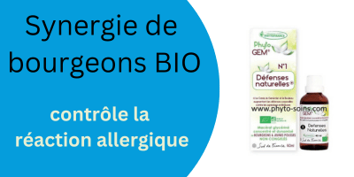 Défenses naturelles: des bourgeons contre les allergies