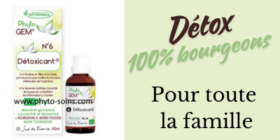 La gemmothérapie pour une détox profonde et une dynamisation