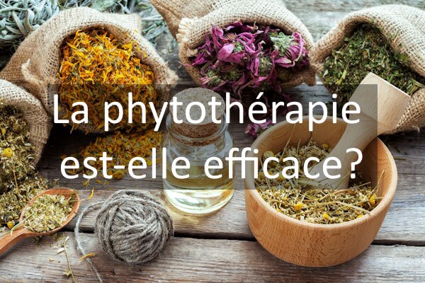 Est-ce que la phytoth&eacute;rapie fonctionne?