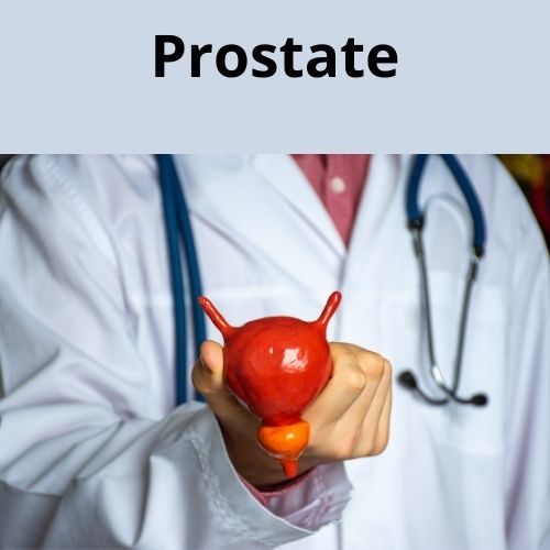 Les compl&eacute;ments alimentaires pour les troubles de la prostate