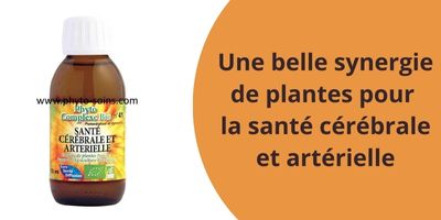 Santé cérébrale et artérielle grâce aux plantes