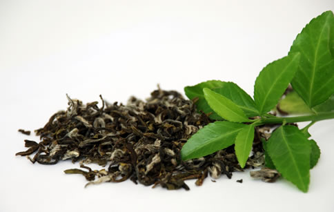 thé vert prévention cancer par phyto-soins