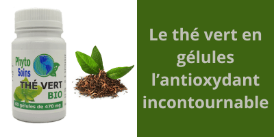 Le th&eacute; vert BIO en g&eacute;lules pour faire le plein d'anti-oxydant