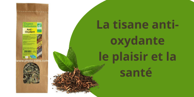 La tisane anti-oxydante: plaisir et sant&eacute; anti-&acirc;ge