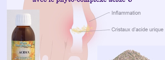 Le phyto-complexe acide U