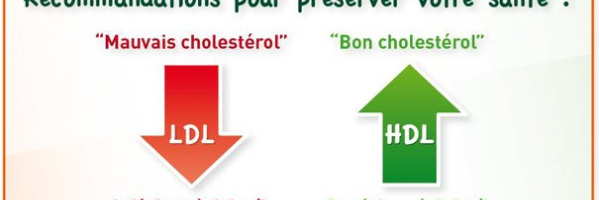 Cholestérol: les meilleures plantes médicinales pour le faire baisser