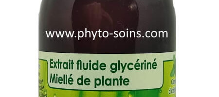 Le chiendent: une plante de drainage urinaire efficace