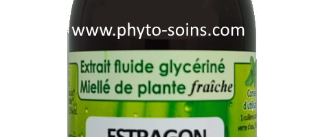 L'Estragon pour soulager les spasmes digestifs et l'anxiété