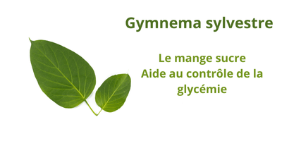 Gymnema sylvetris: Prévention du prédiabète et appétence au sucre