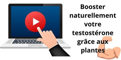 Booster naturellement votre testostérone grâce aux plantes