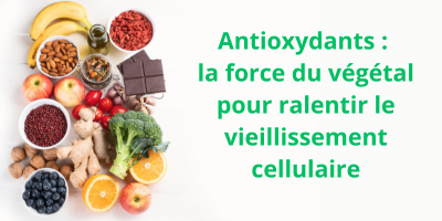 Antioxydants naturels : aliments et plantes médicinales anti-âge