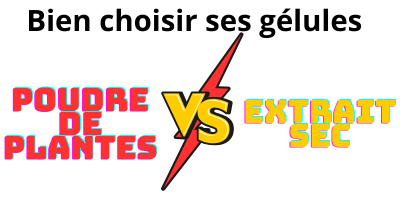 Poudre micronisée vs Extrait sec : comprendre les différences pour mieux choisir