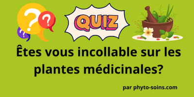 Quiz plantes médicinales: êtes vous incollable?