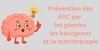 Comment prévenir les accidents vasculaires cérébraux (AVC) ?
