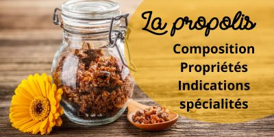 La Propolis, une substance naturelle offerte par les abeilles