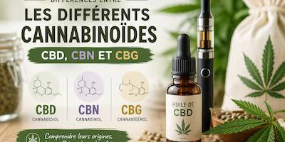Le chanvre bien-être : comprendre les différences entre CBD, CBG et CBN