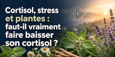 Cortisol, stress et plantes : faut-il vraiment faire baisser son cortisol ?