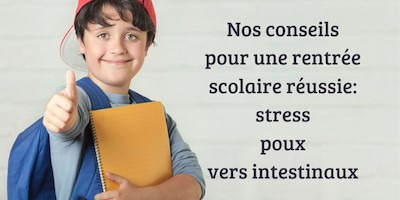 Rentrée Scolaire: Bien Préparer son Enfant