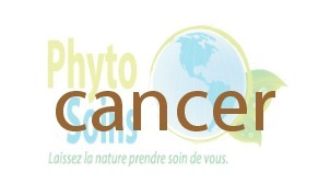 Prévenir le cancer par l'alimentation