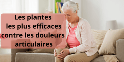 Traitements Naturels (Plantes Médicinales) des Rhumatismes et Arthrose