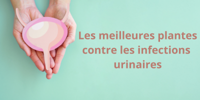Soulager et prévenir les infections urinaires (cystites) avec les plantes et les huiles essentielles